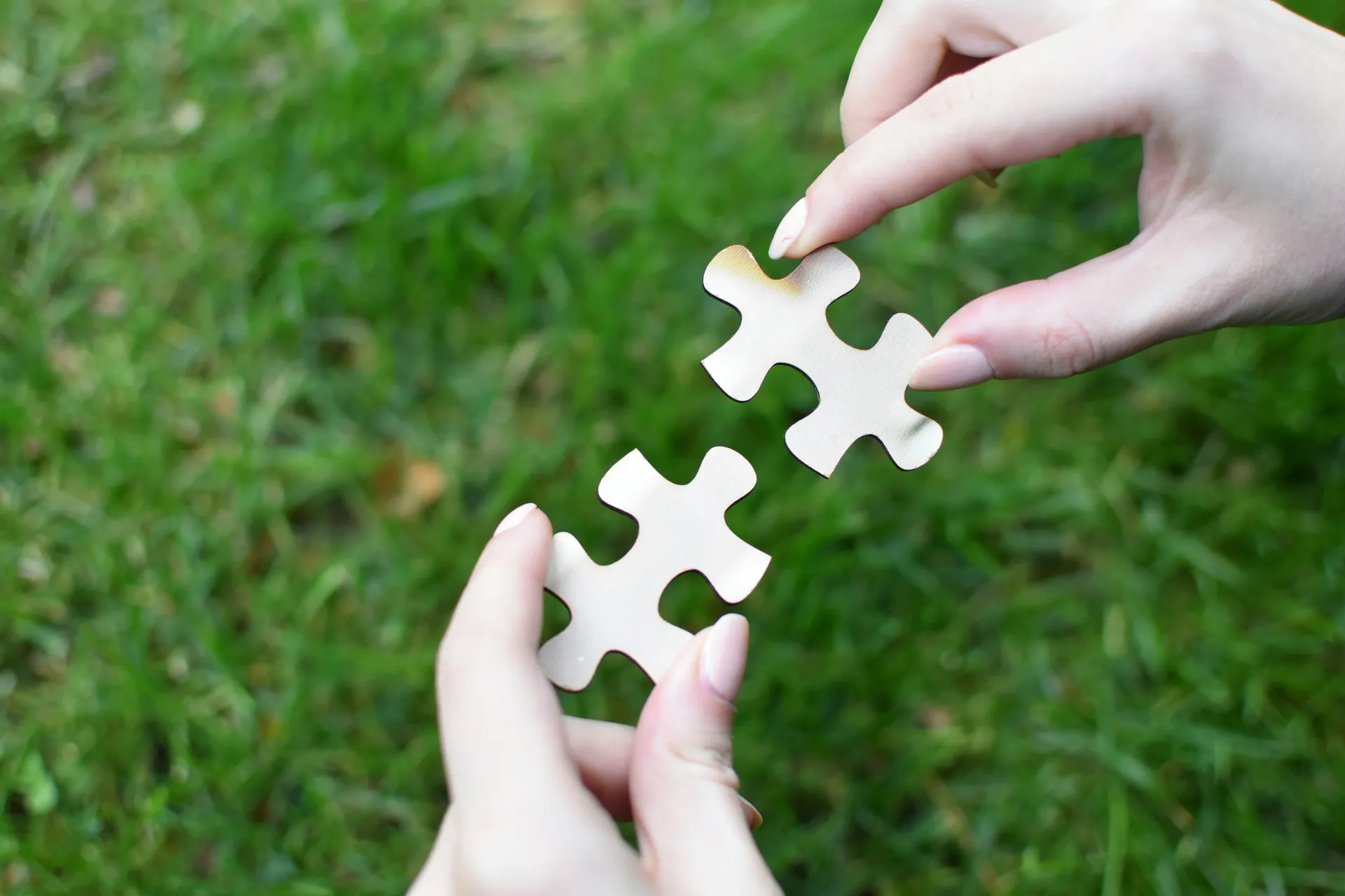 Matching puzzle pieces